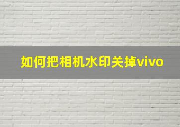 如何把相机水印关掉vivo