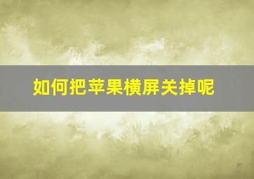 如何把苹果横屏关掉呢