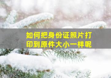 如何把身份证照片打印到原件大小一样呢