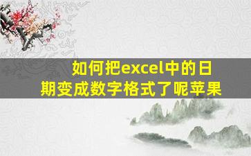 如何把excel中的日期变成数字格式了呢苹果