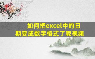 如何把excel中的日期变成数字格式了呢视频