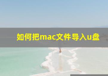 如何把mac文件导入u盘