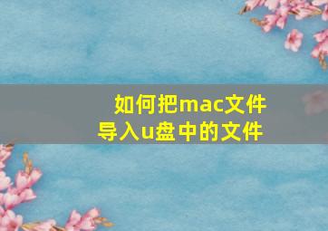 如何把mac文件导入u盘中的文件