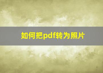 如何把pdf转为照片