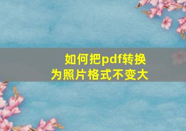 如何把pdf转换为照片格式不变大