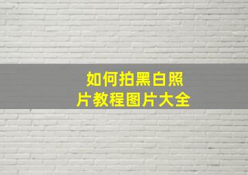 如何拍黑白照片教程图片大全