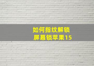 如何指纹解锁屏幕锁苹果15