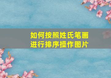 如何按照姓氏笔画进行排序操作图片