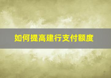 如何提高建行支付额度