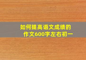 如何提高语文成绩的作文600字左右初一