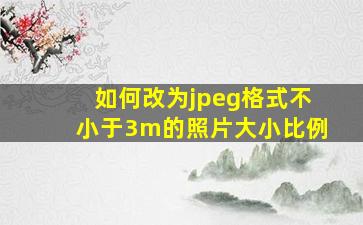 如何改为jpeg格式不小于3m的照片大小比例