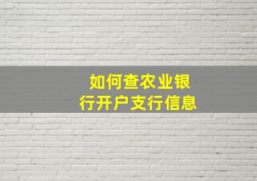 如何查农业银行开户支行信息