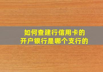 如何查建行信用卡的开户银行是哪个支行的