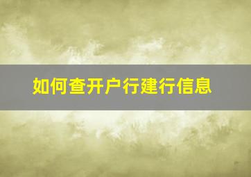 如何查开户行建行信息