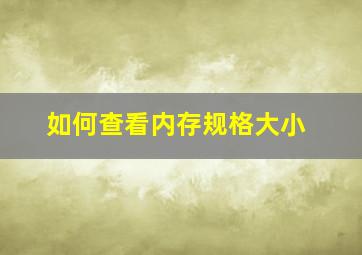 如何查看内存规格大小