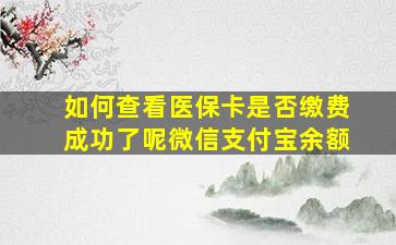 如何查看医保卡是否缴费成功了呢微信支付宝余额