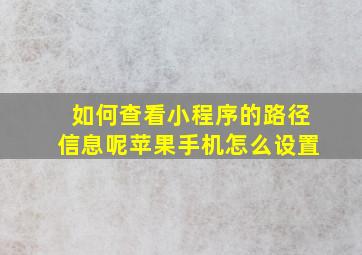 如何查看小程序的路径信息呢苹果手机怎么设置