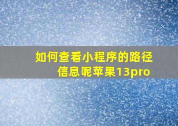 如何查看小程序的路径信息呢苹果13pro