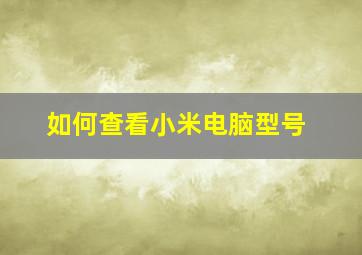 如何查看小米电脑型号