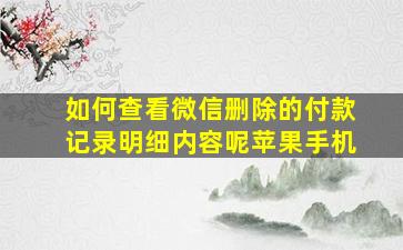 如何查看微信删除的付款记录明细内容呢苹果手机