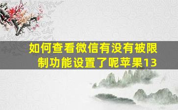 如何查看微信有没有被限制功能设置了呢苹果13