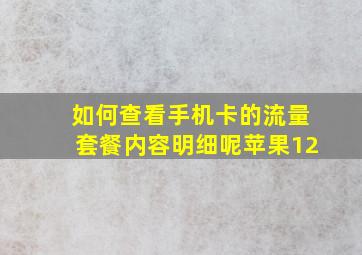 如何查看手机卡的流量套餐内容明细呢苹果12