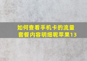 如何查看手机卡的流量套餐内容明细呢苹果13