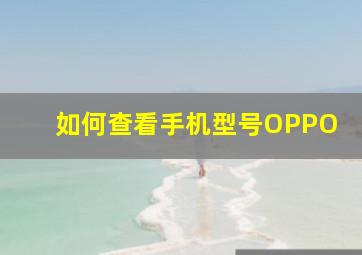 如何查看手机型号OPPO