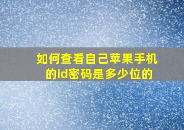 如何查看自己苹果手机的id密码是多少位的