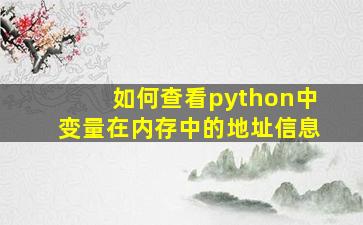 如何查看python中变量在内存中的地址信息