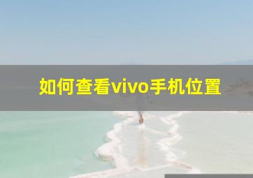 如何查看vivo手机位置