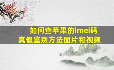 如何查苹果的imei码真假鉴别方法图片和视频