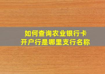 如何查询农业银行卡开户行是哪里支行名称