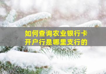 如何查询农业银行卡开户行是哪里支行的