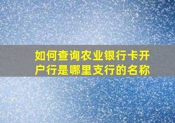 如何查询农业银行卡开户行是哪里支行的名称