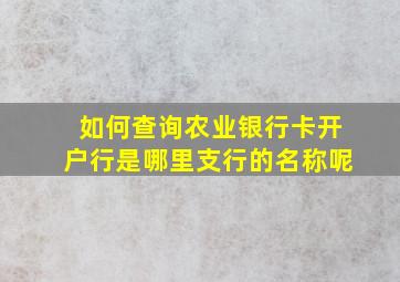 如何查询农业银行卡开户行是哪里支行的名称呢