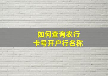 如何查询农行卡号开户行名称