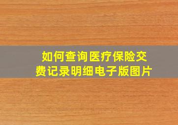 如何查询医疗保险交费记录明细电子版图片