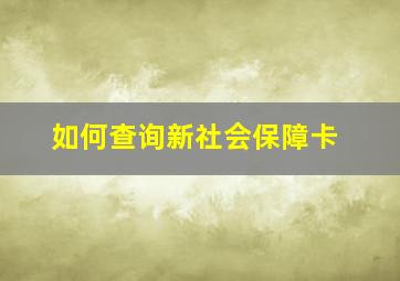 如何查询新社会保障卡