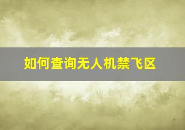 如何查询无人机禁飞区