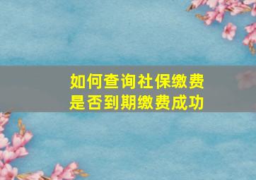 如何查询社保缴费是否到期缴费成功