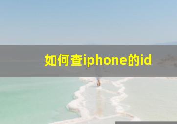 如何查iphone的id