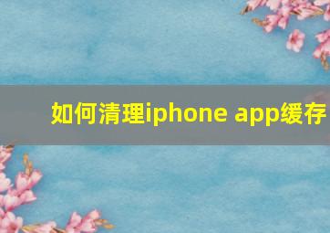 如何清理iphone app缓存