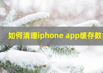 如何清理iphone app缓存数据