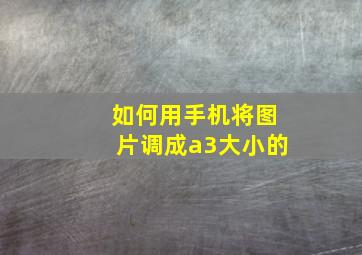 如何用手机将图片调成a3大小的