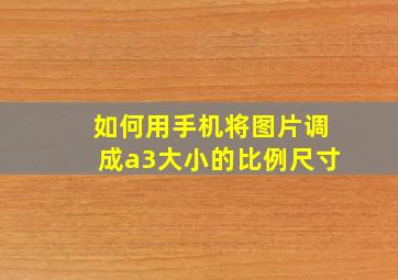 如何用手机将图片调成a3大小的比例尺寸