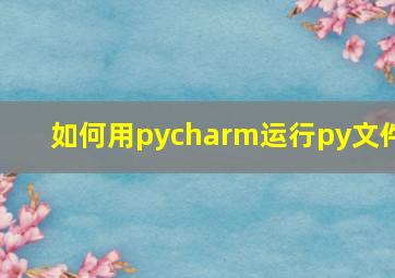 如何用pycharm运行py文件