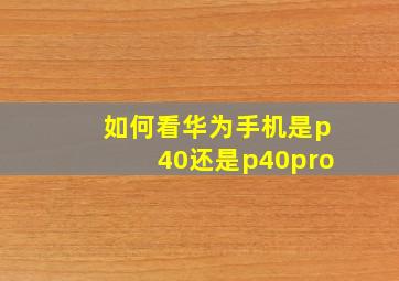 如何看华为手机是p40还是p40pro