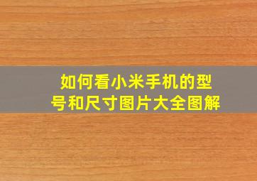 如何看小米手机的型号和尺寸图片大全图解