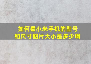 如何看小米手机的型号和尺寸图片大小是多少啊